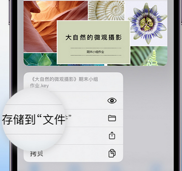 陕州apple维修中心分享iPhone文件应用中存储和找到下载文件