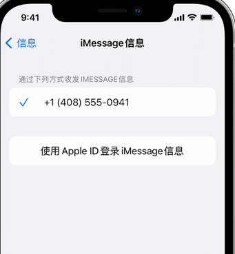 陕州apple维修iPhone上无法正常发送iMessage信息 