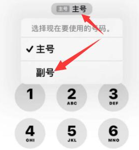 陕州苹果14维修店分享iPhone 14 Pro Max使用副卡打电话的方法 