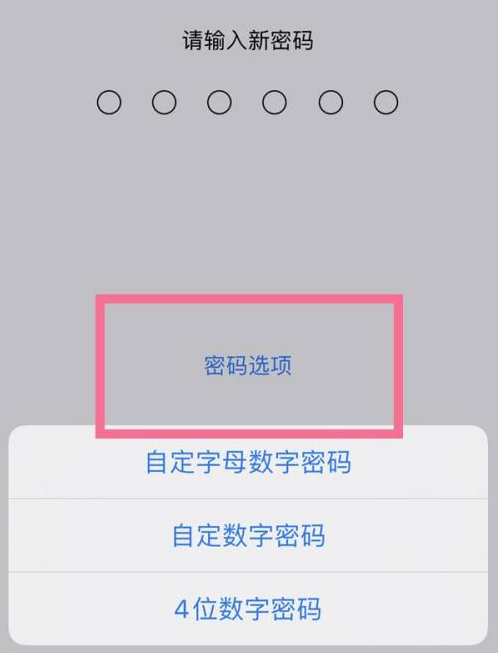 陕州苹果14维修分享iPhone 14plus设置密码的方法 