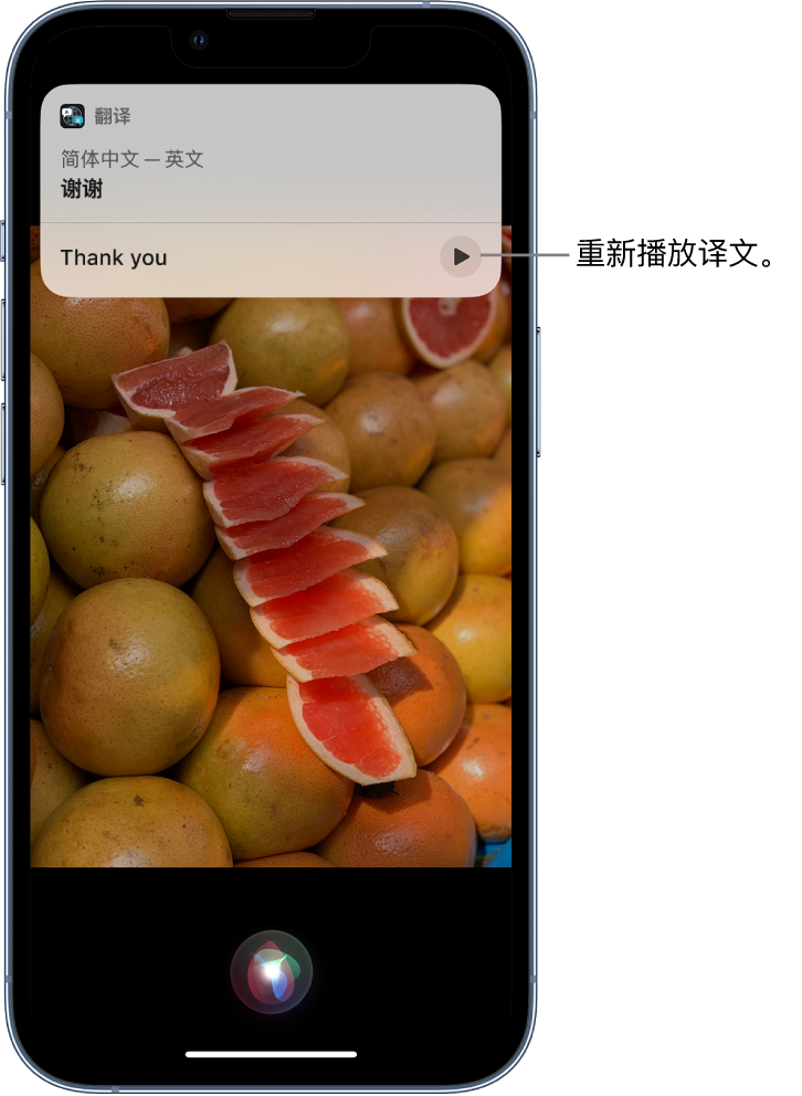 陕州苹果14维修分享 iPhone 14 机型中使用 Siri：了解 Siri 能帮你做什么 