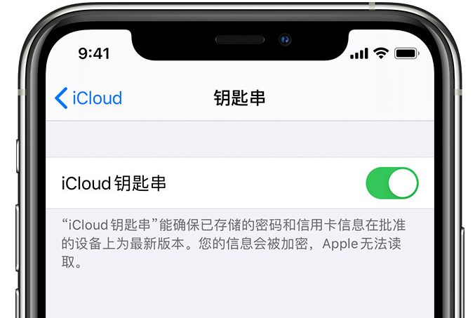 陕州苹果手机维修分享在 iPhone 上开启 iCloud 钥匙串之后会储存哪些信息 