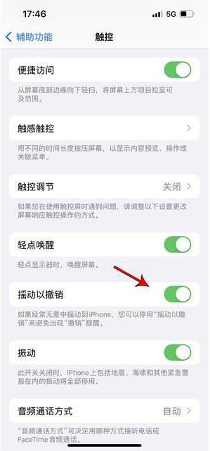 陕州苹果手机维修分享iPhone手机如何设置摇一摇删除文字 